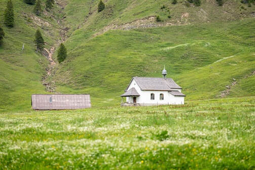 Bild
